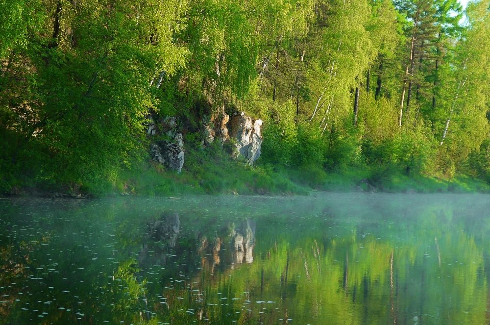 Фотография автора Марков Сергей