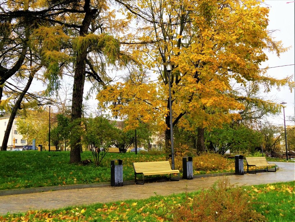 Осень в Великом Новгороде, Парк Водников