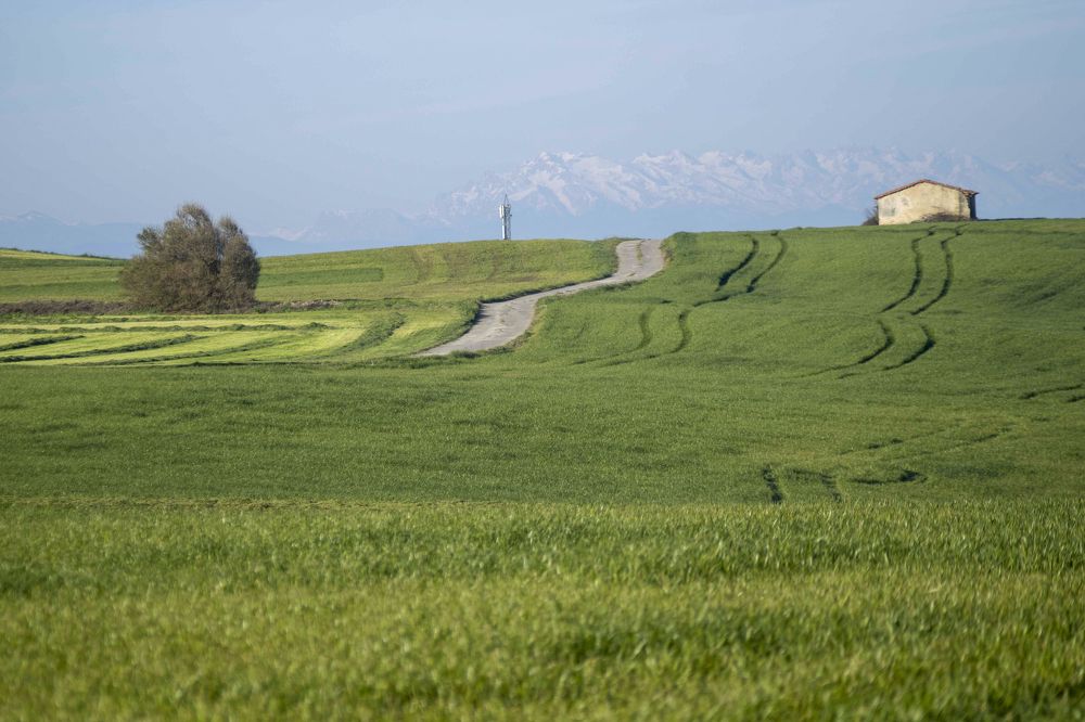Фотография автора Алексей Головатый