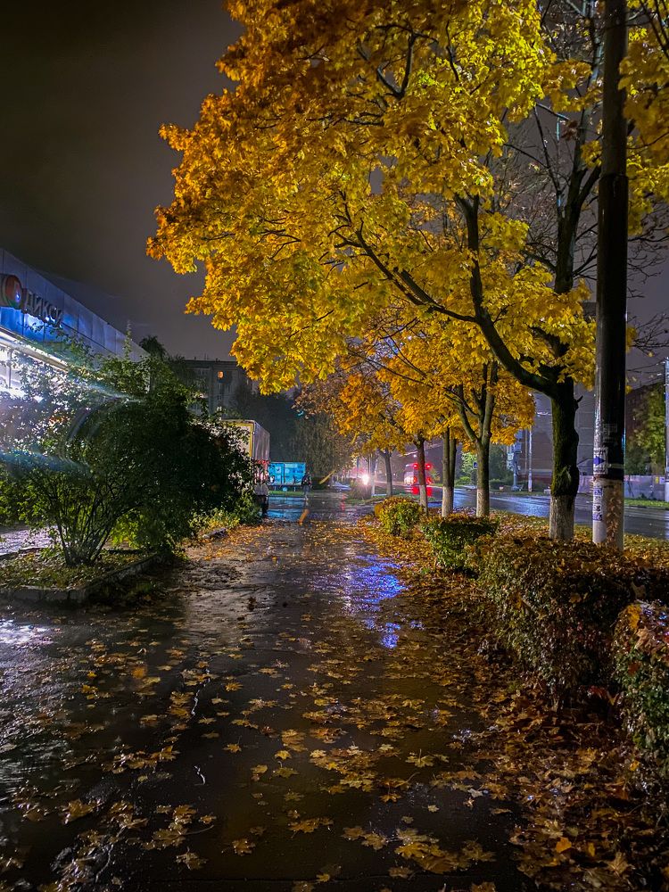 Photograph by Александра Голикова