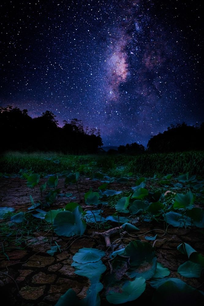 Photograph by Hewage K-vin R