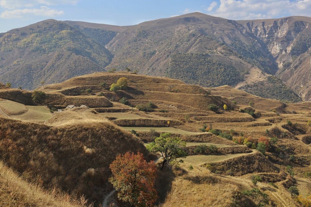 Фотография автора Елена Кириллова