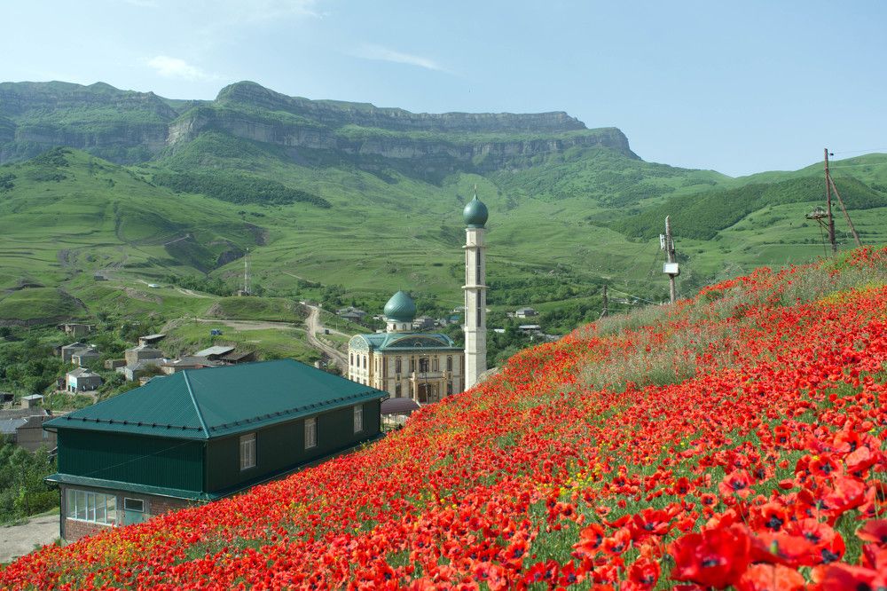 Photograph by Юсиф Саркаров