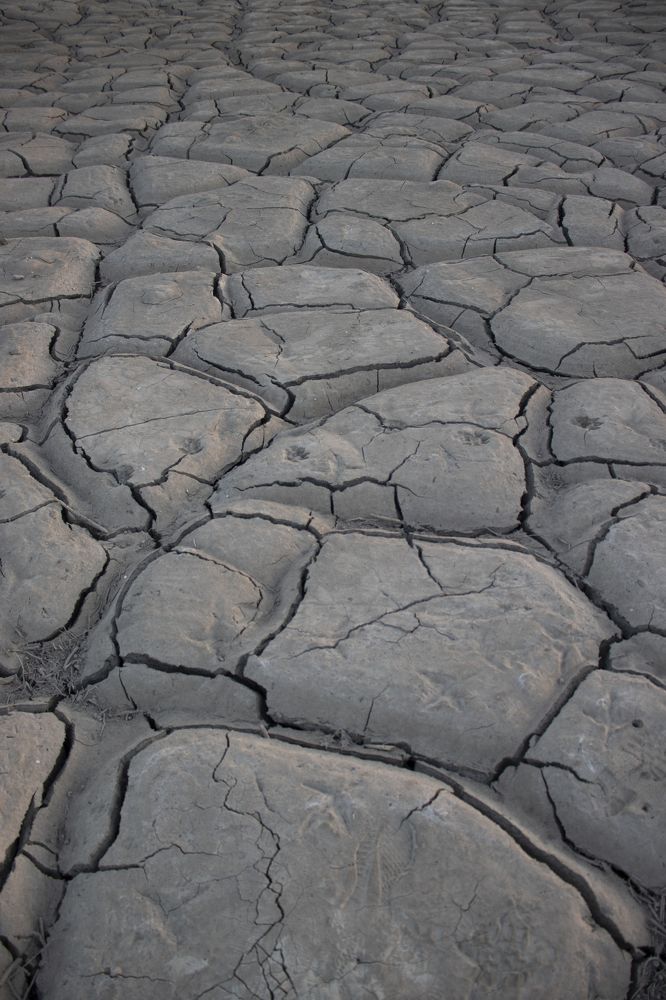 Photograph by Faezeh Fazeli