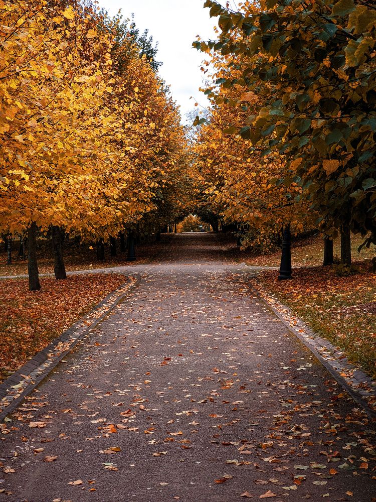 Photograph by Евгений Порсов