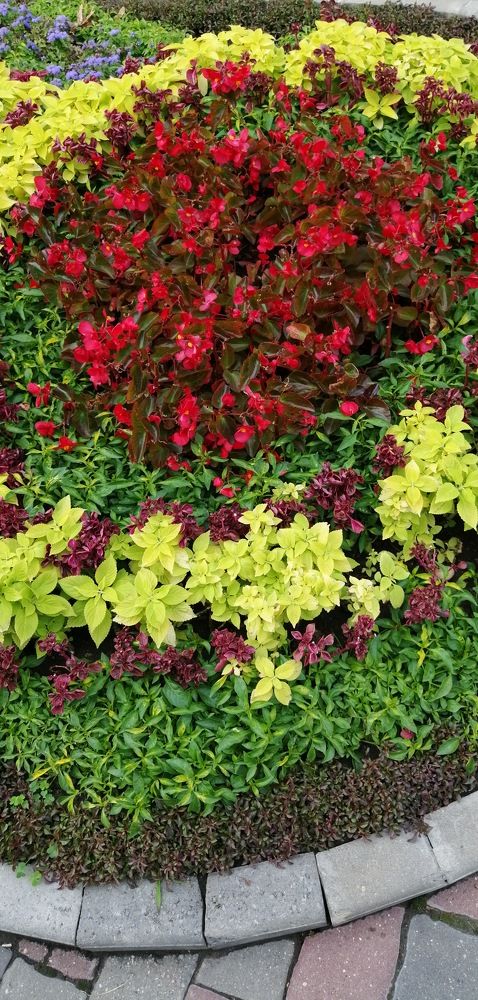 Photograph by Мила Мит