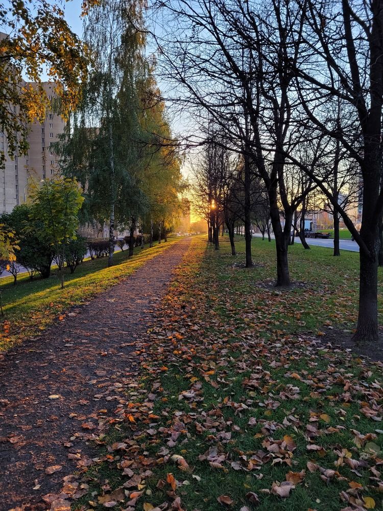 Photograph by Екатерина