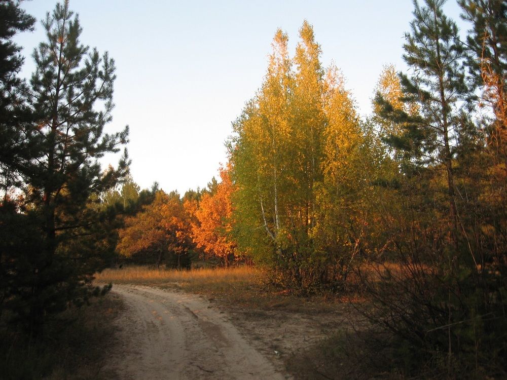 Photograph by Денис Веску