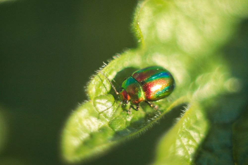 Photograph by Анна Дубинина