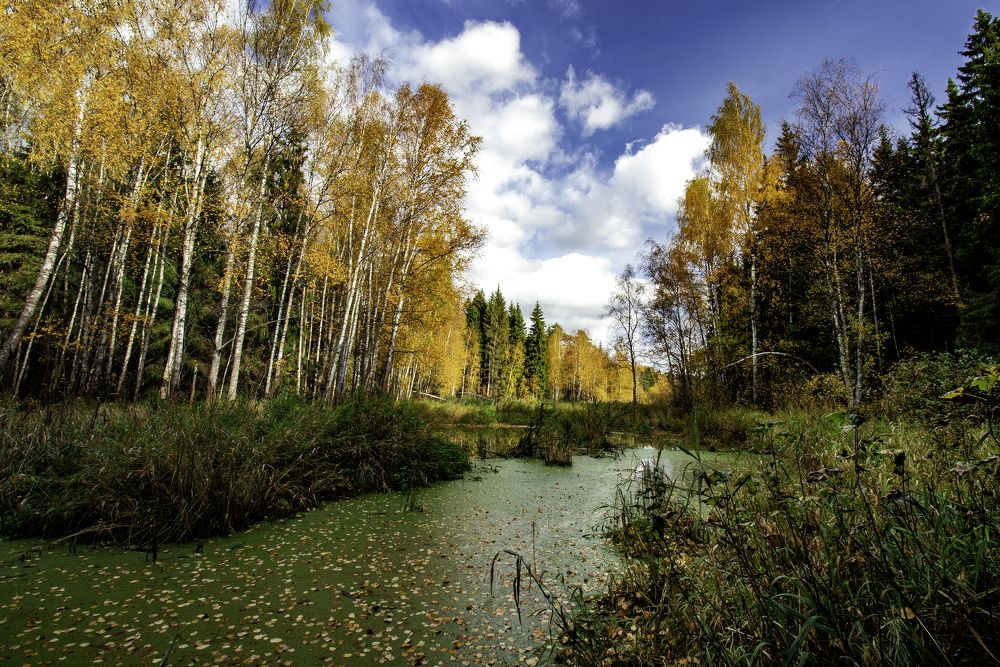 Photograph by Константин Козырев