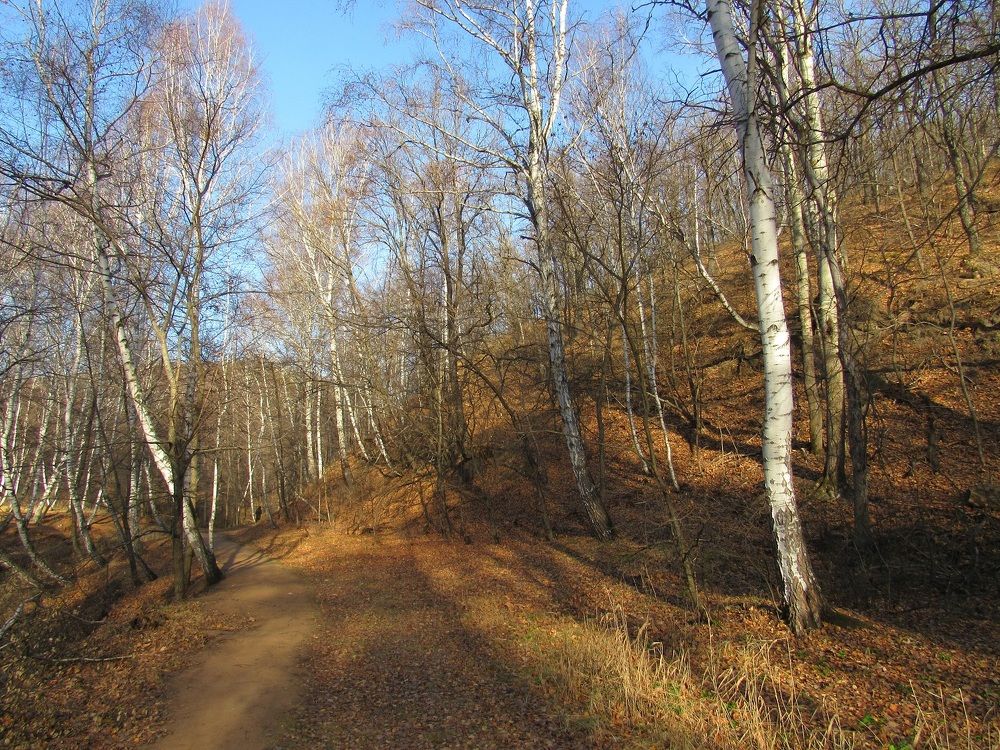 Photograph by Денис Веску