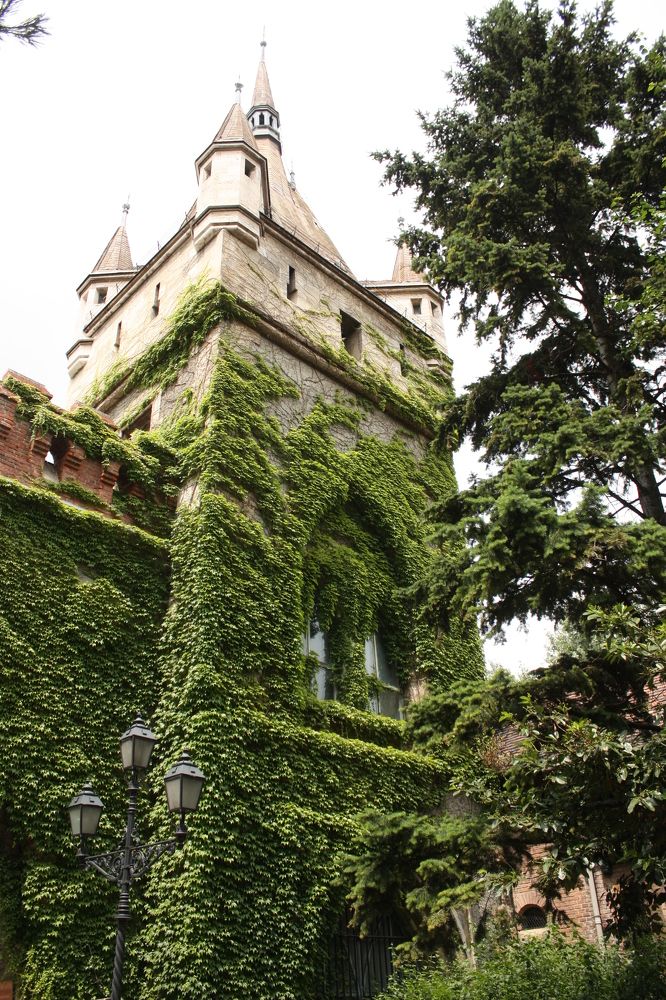 Photograph by Элина Ларченкова