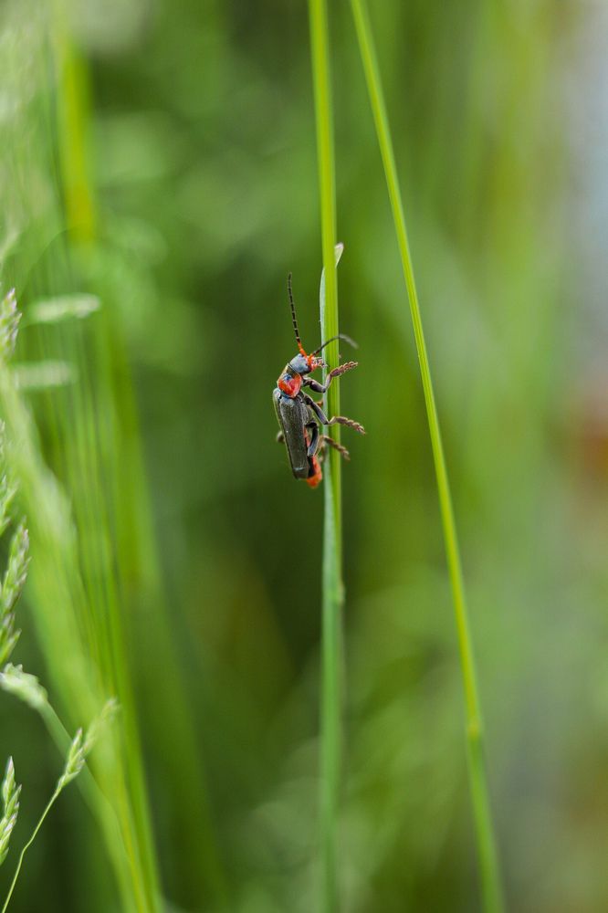 Photograph by Анна Дубинина