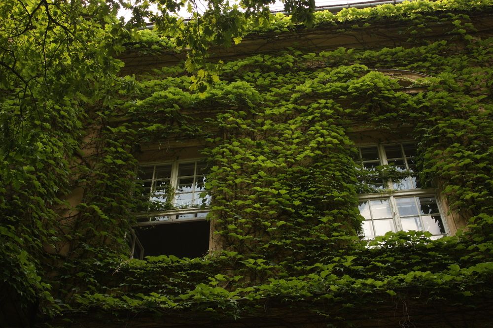 Photograph by Элина Ларченкова