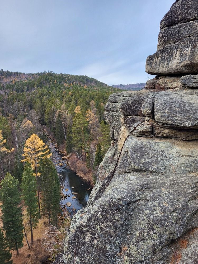 Photo #8208259