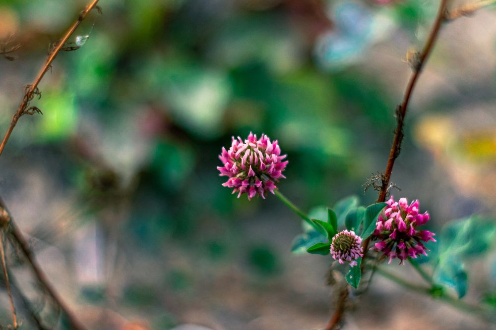 Photograph by Сергей Аникушин