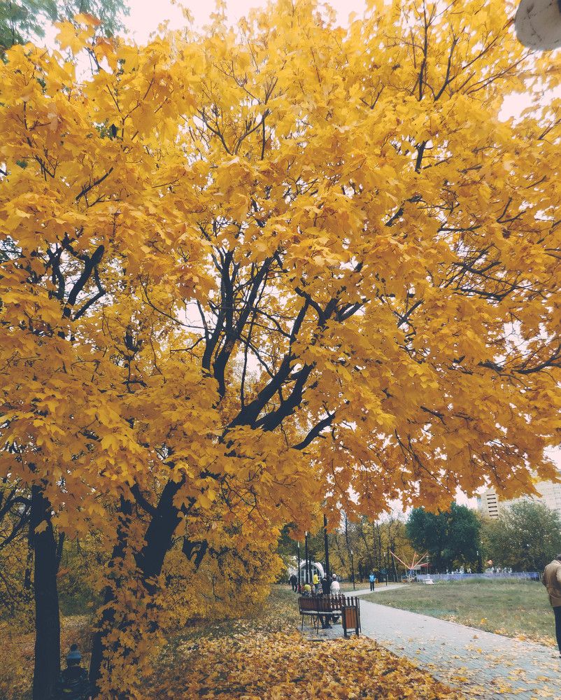 Photograph by Анна Сухарева