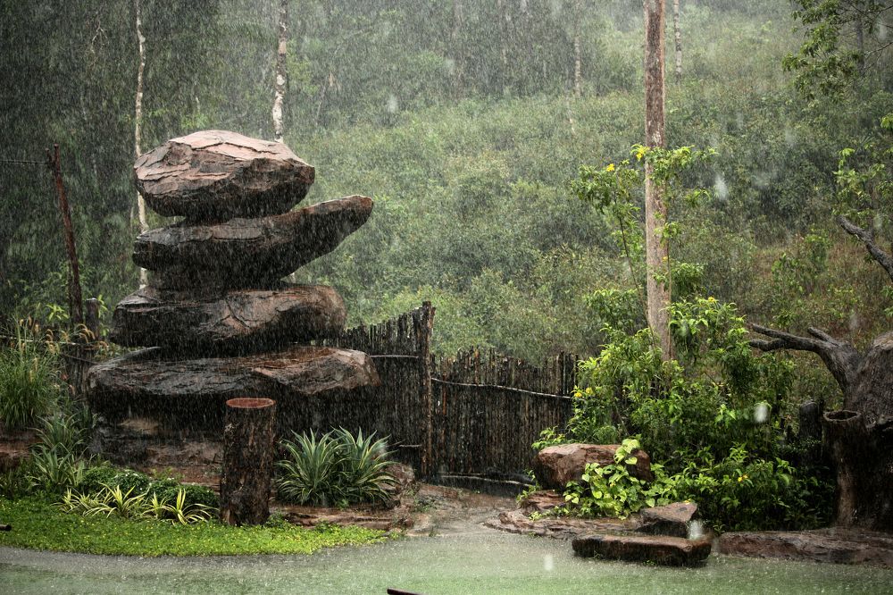 Photograph by Элина Ларченкова