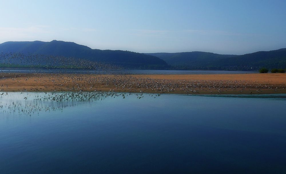 Фотография автора Марков Сергей