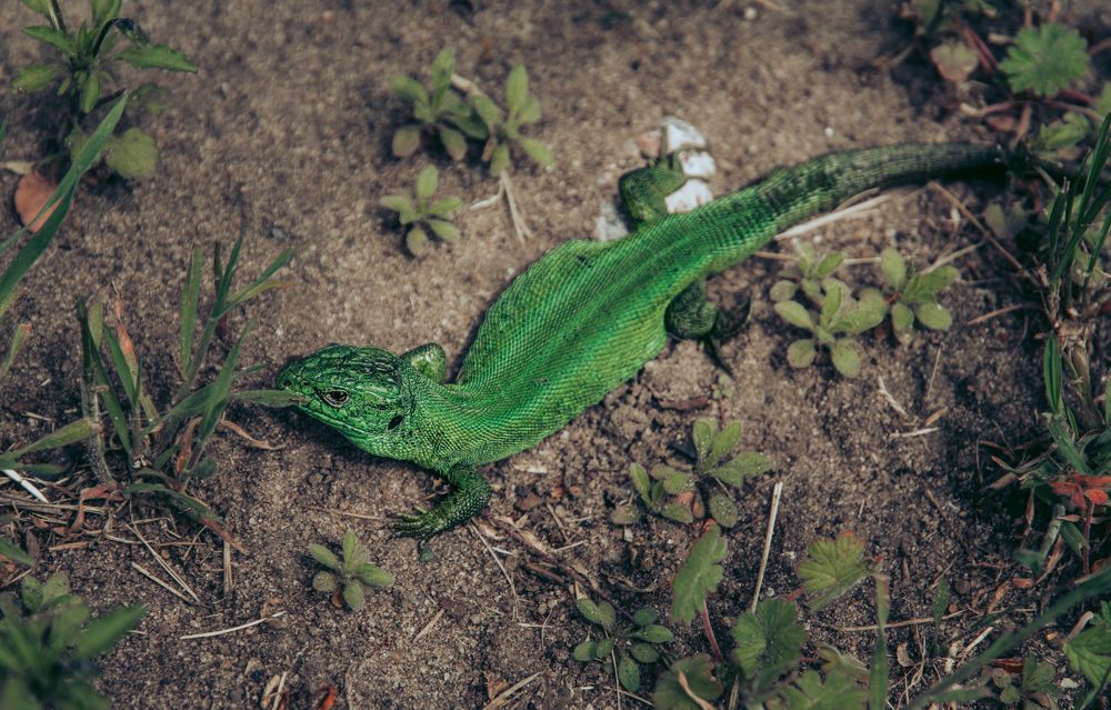 Photograph by Виктория Селютина