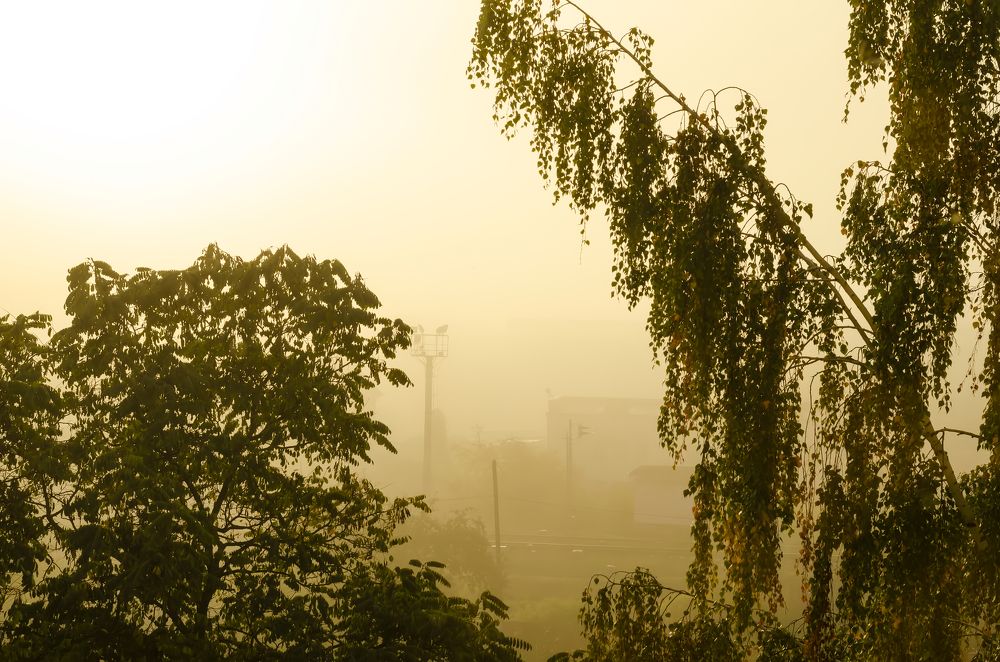 Photograph by Максим Коротков