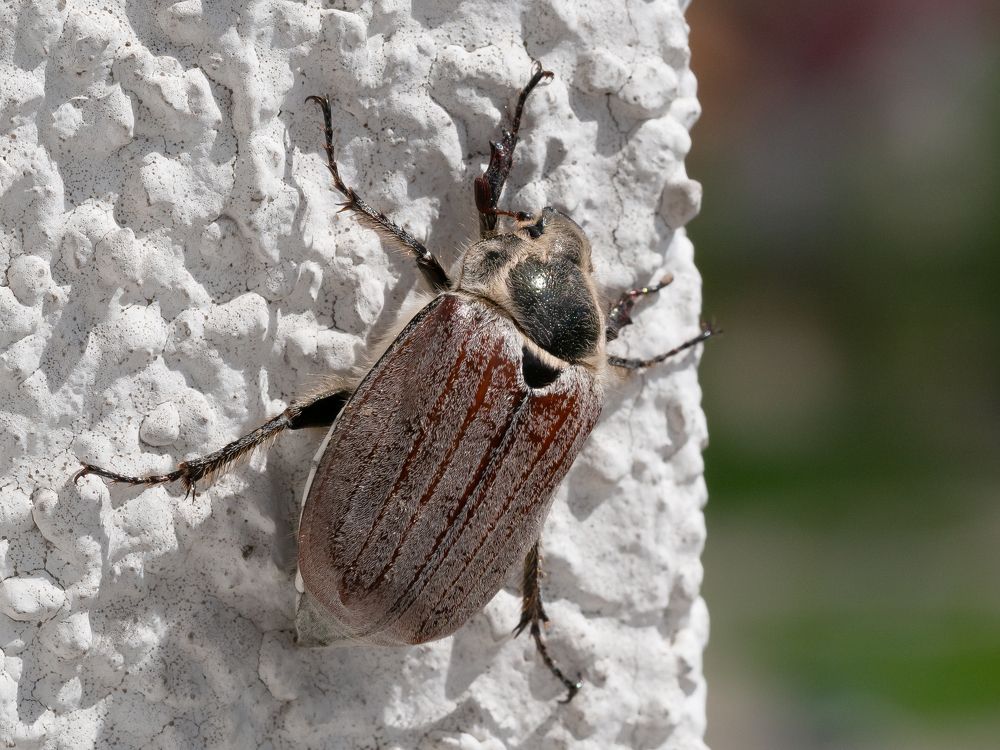 Photograph by Елена Чиркова