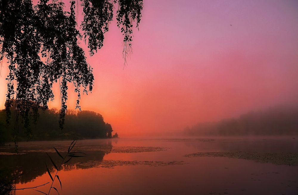 Фотография автора Марков Сергей