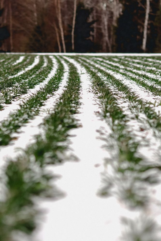 Photograph by Марина Слепова