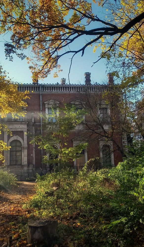 Photograph by Viktoria Vavilkina