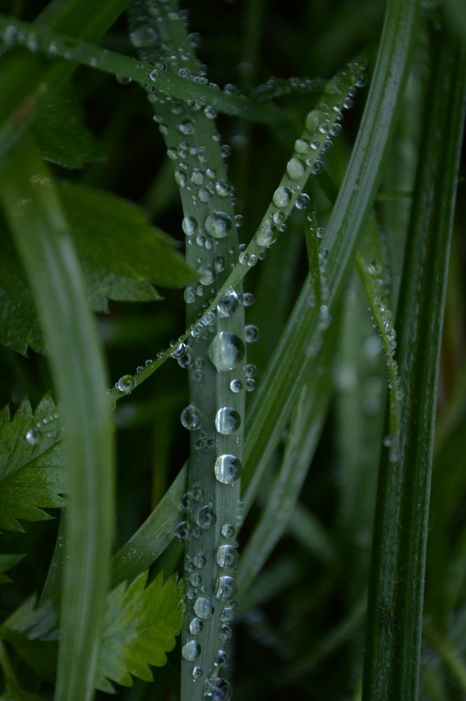 Photograph by Карина Слабкая