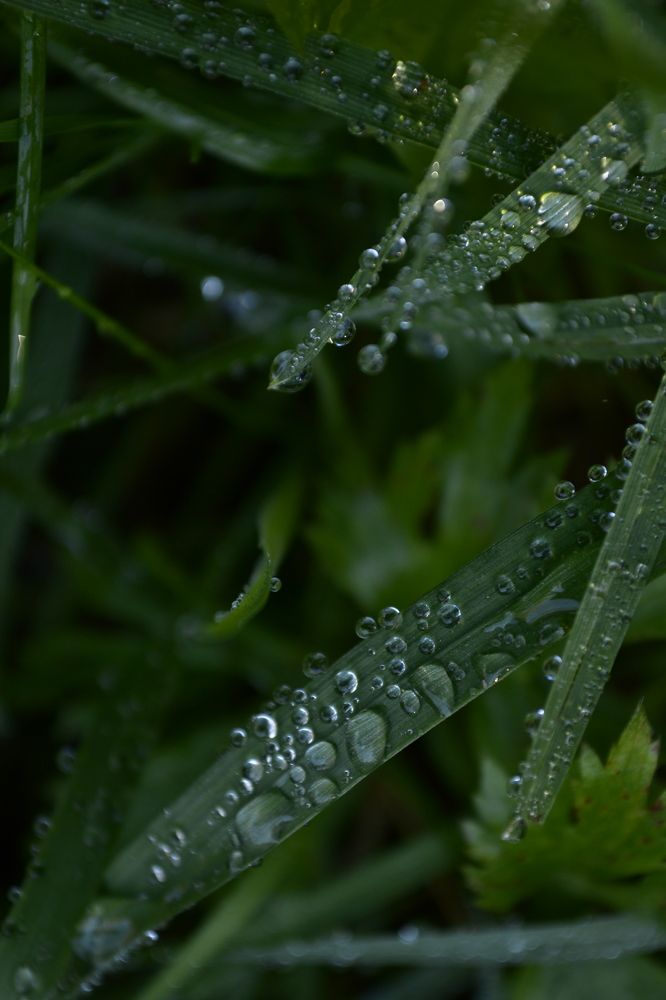 Photograph by Карина Слабкая