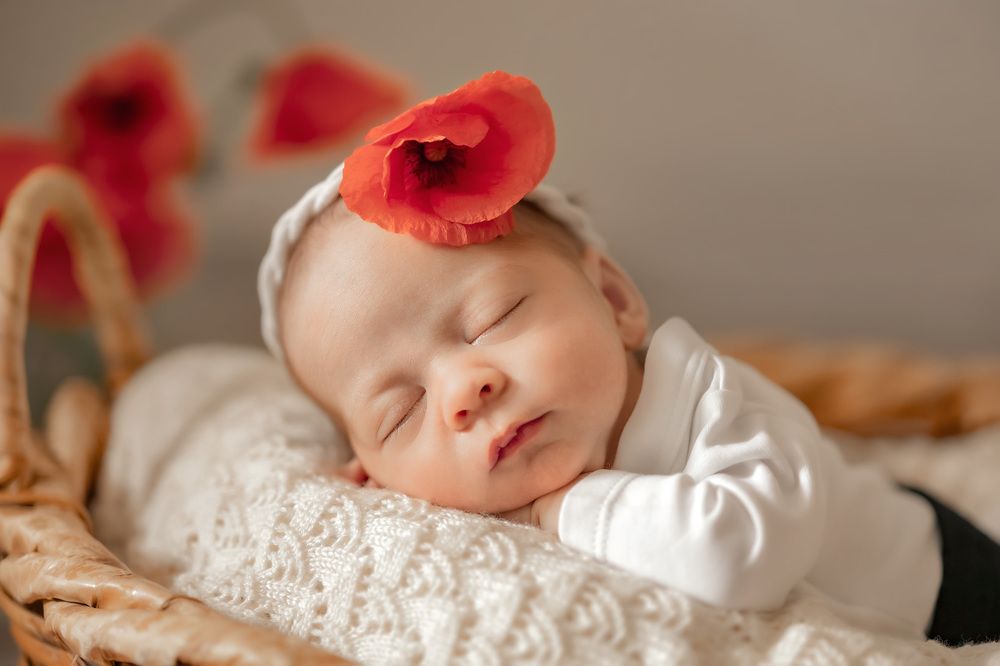 Photograph by Galina Samoylovich