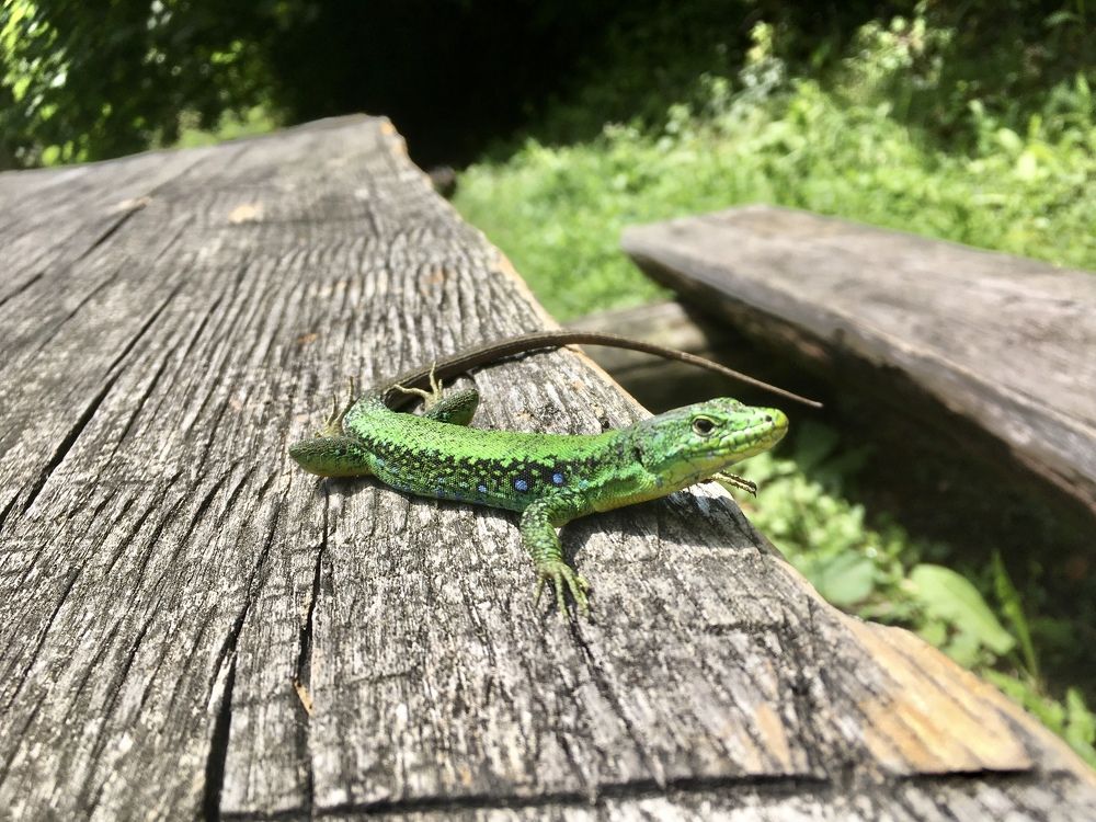 Photograph by Denis Chigintsev