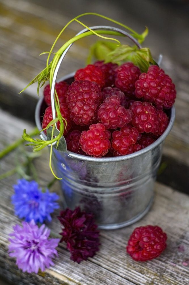 Photograph by Ольга Крючкова