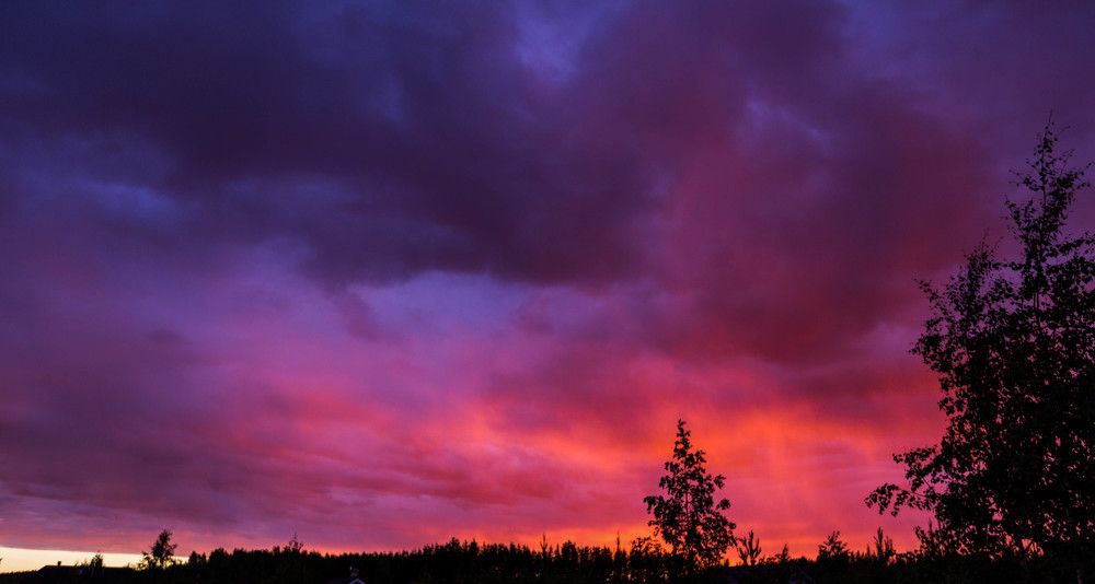 Photograph by Михаил Бояркин