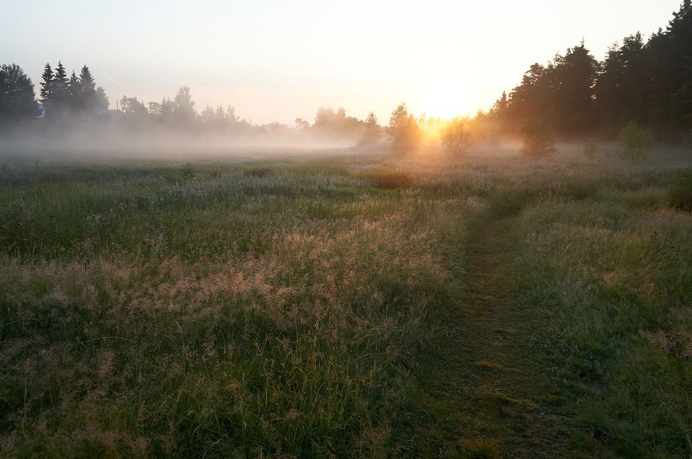 Photograph by Александр Гуреев