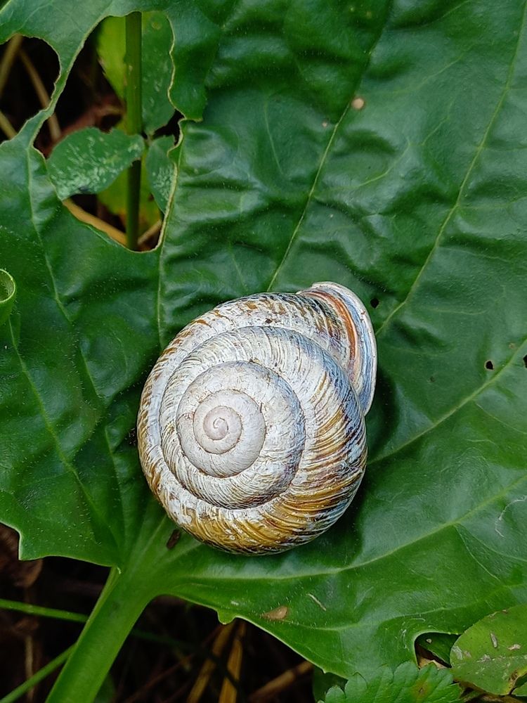 Photograph by Denis Chigintsev