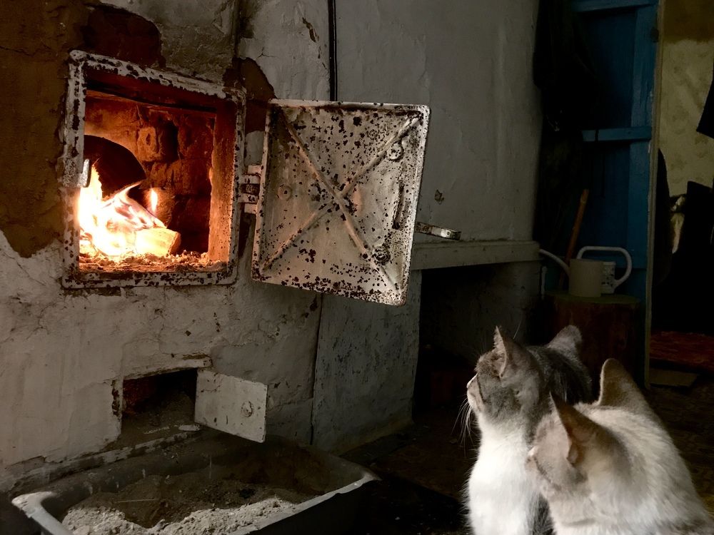 Photograph by Димитрий Осинцев