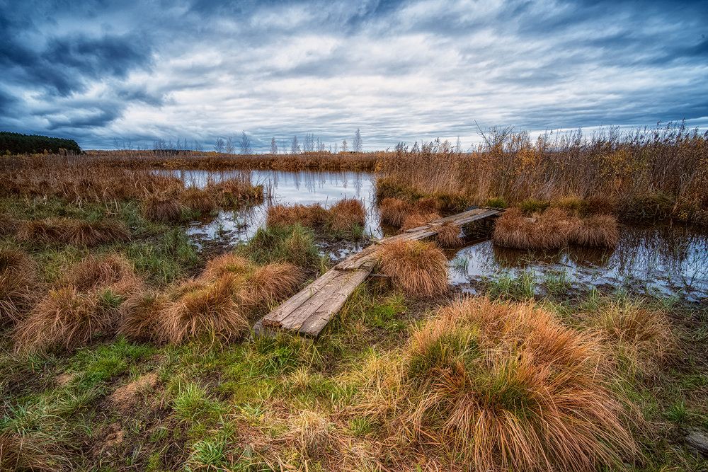 Photograph by Сергей Лазарев