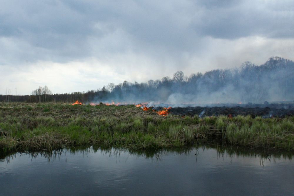 Photograph by Эдуард Шадров