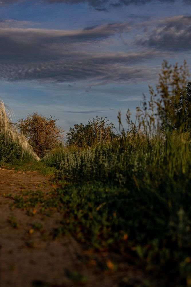 Photograph by Светлана Кочнева