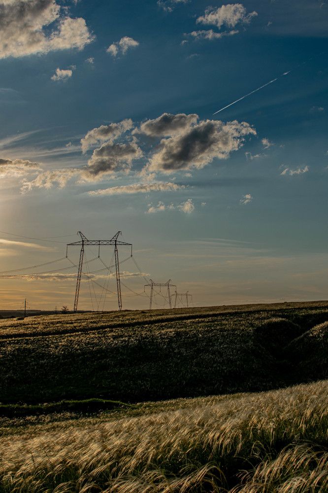 Photograph by Светлана Кочнева