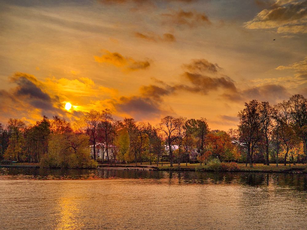 Photograph by Chic.chiquitita