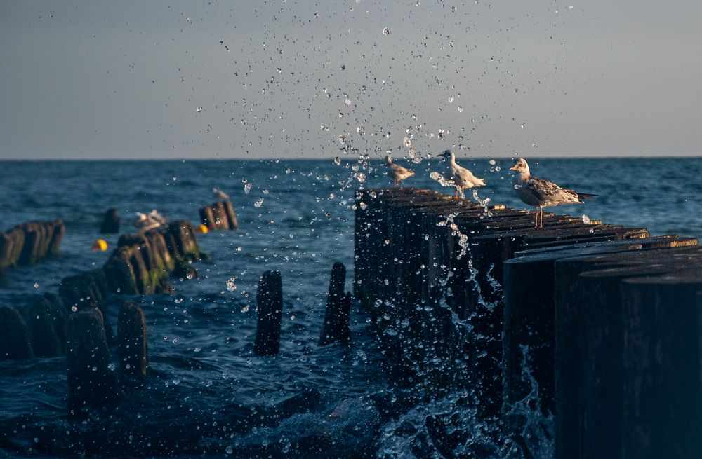 Photograph by Александрова Ольга