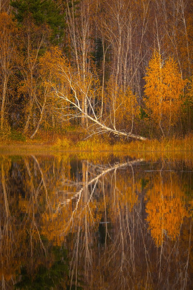 Photograph by Жданов Дмитрий