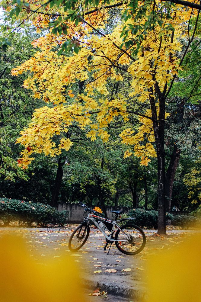 Photograph by Юлия Белозёрова