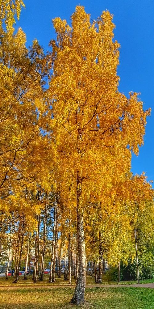 Photograph by Игорь