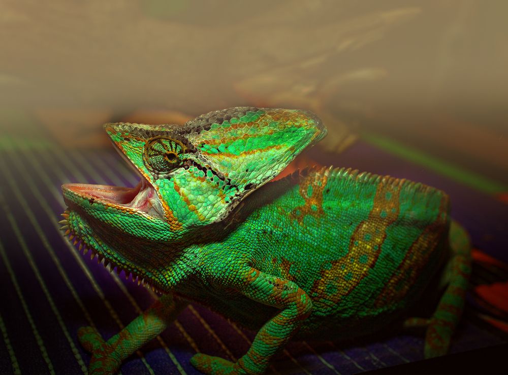 Photograph by Виктор Холодов