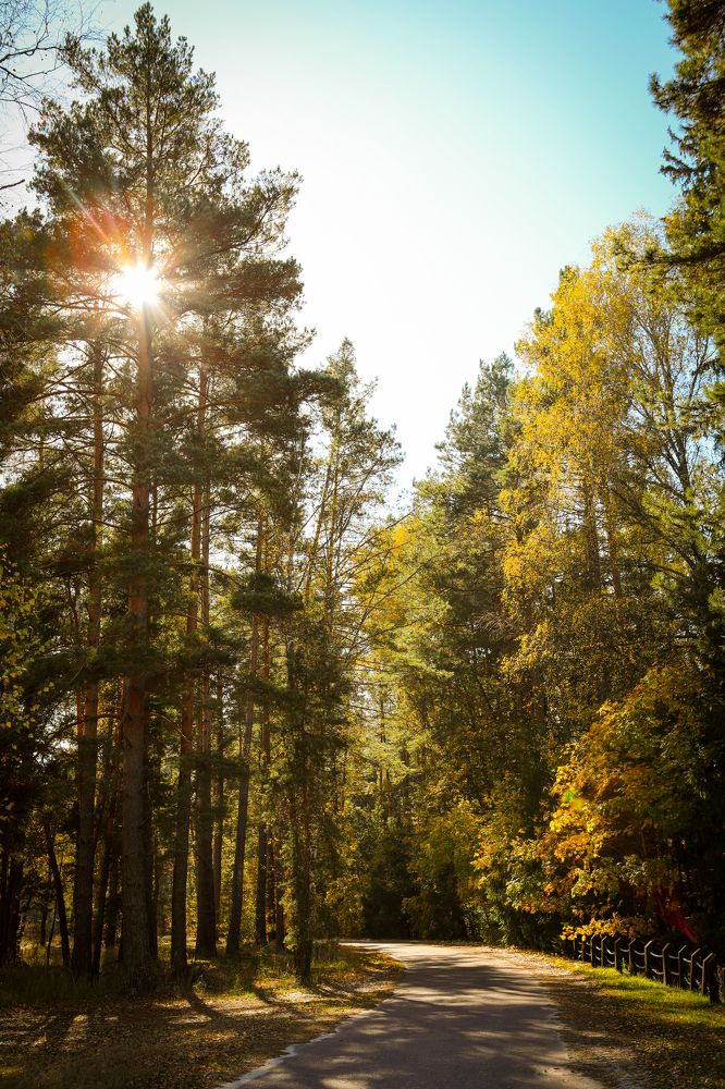 Photograph by Светлана Солдатченкова