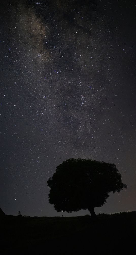 Photograph by Shubham Mahajan
